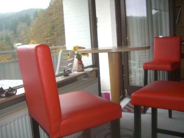 Ferien Penthouse Panoramablick Oder Studio Panoramablick Bad Grund Exteriér fotografie