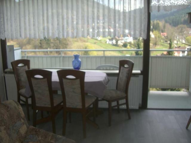 Ferien Penthouse Panoramablick Oder Studio Panoramablick Bad Grund Exteriér fotografie