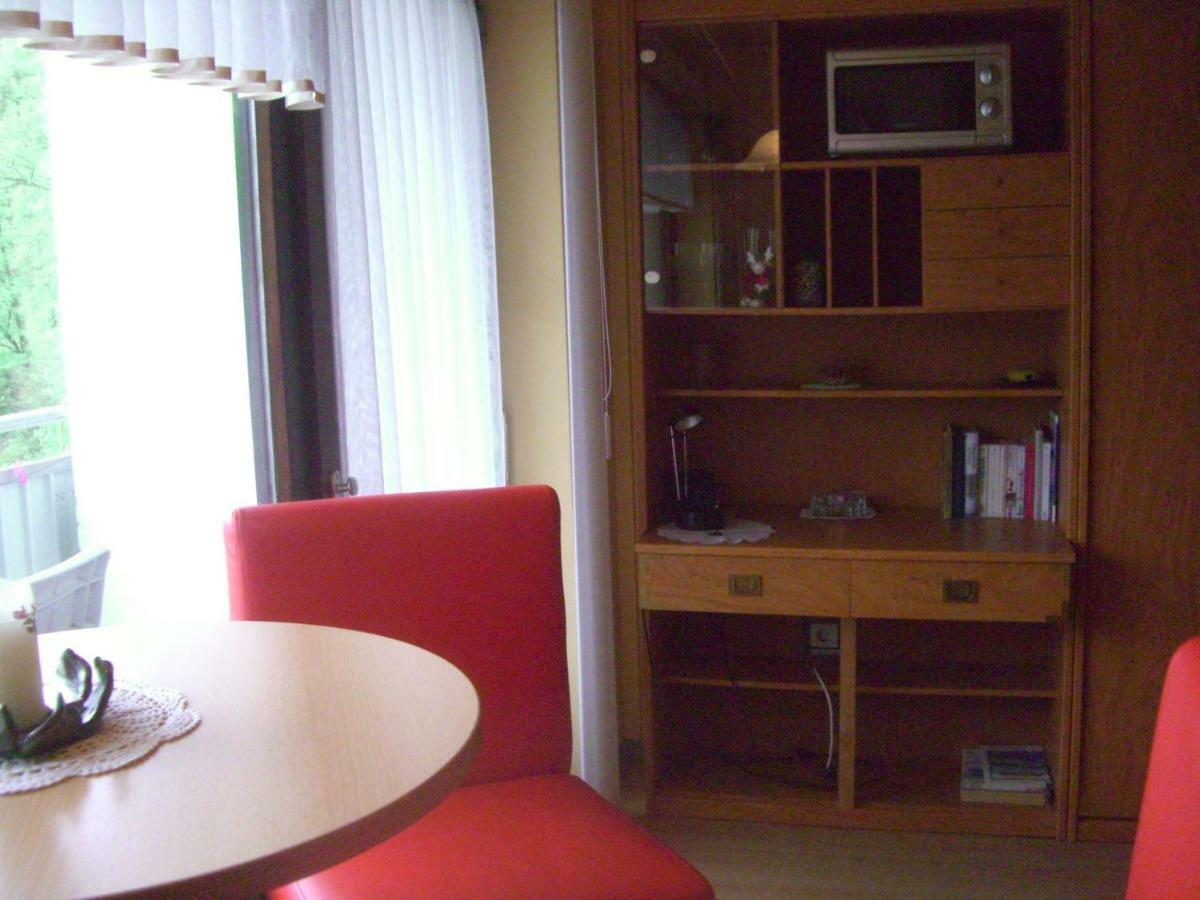 Ferien Penthouse Panoramablick Oder Studio Panoramablick Bad Grund Exteriér fotografie